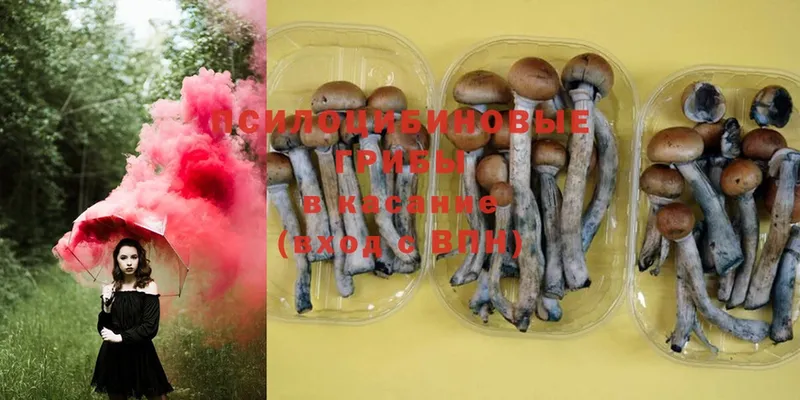 Псилоцибиновые грибы Magic Shrooms  Байкальск 